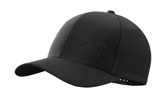 arcteryx bird cap