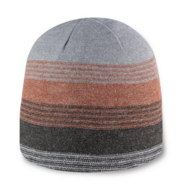 Pistil Mn Pistil Chase Beanie