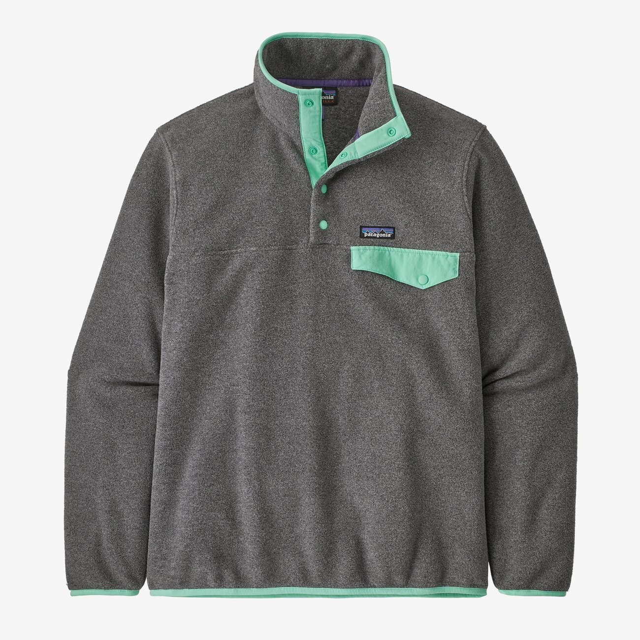 Patagonia Men's LightWeight Synchilla Snap-T PullOver