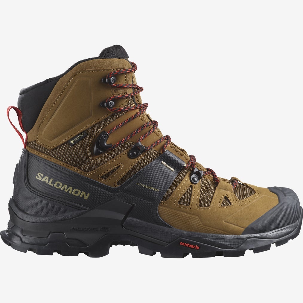 Salomon Men's Quest 4 GTX