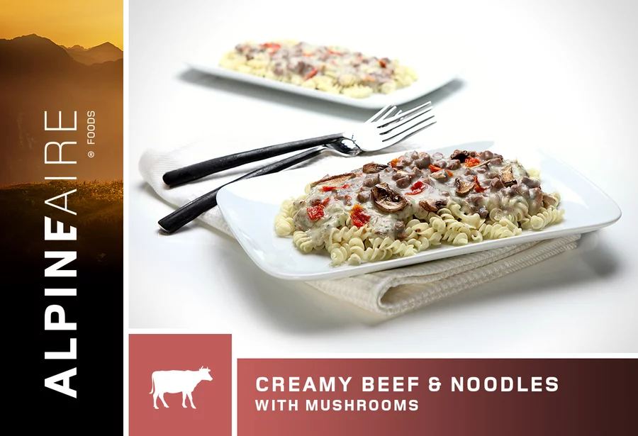 Katadyn Creamy Beef and Noodles with Mushrooms