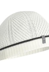 Icebreaker Waypoint Beanie