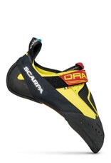 Scarpa Drago