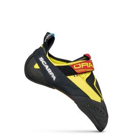 Scarpa Drago