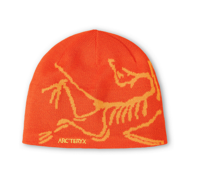 Arcteryx Bird Head Toque