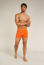 Icebreaker Men's Anatomica Boxer
