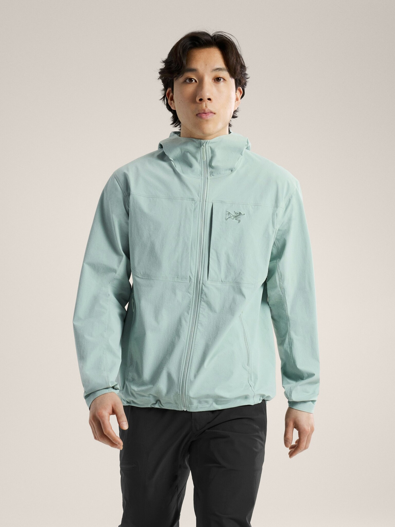 Arcteryx Men's Gamma Lightweight Hoody