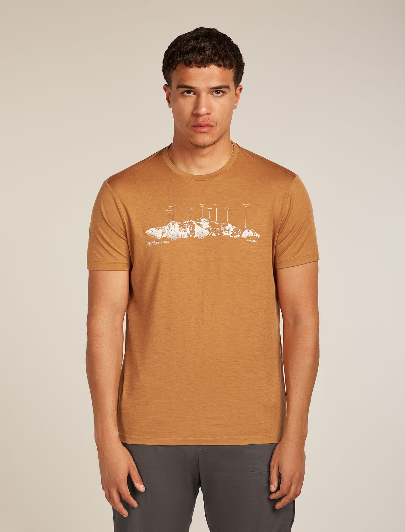 Icebreaker Men's 150 Tech Lite Short Sleeve Massif