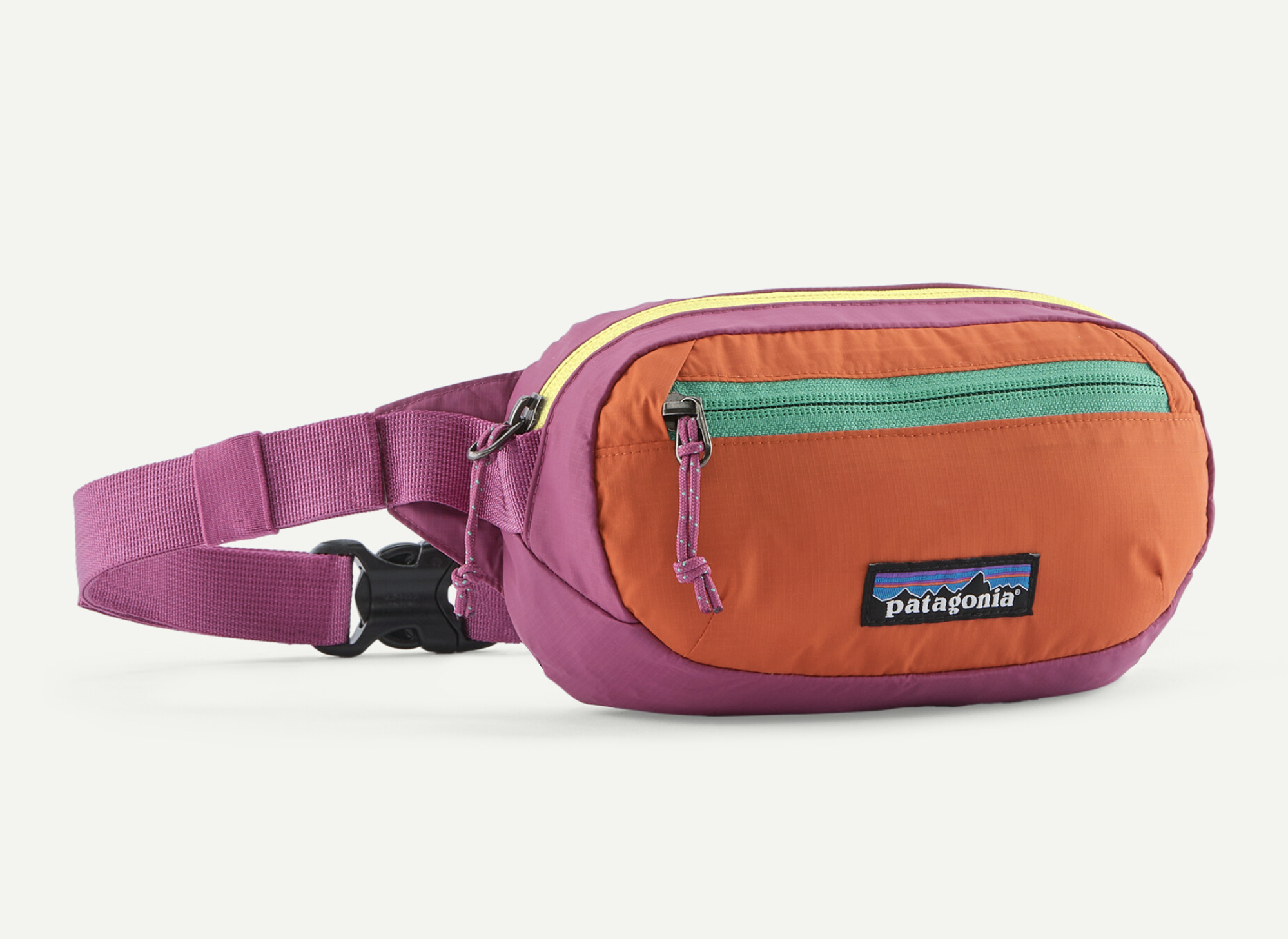 Patagonia Terravia Mini Hip Pack 1L