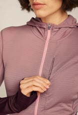 Icebreaker Women's 200 Descender Half Zip Hoody