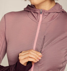 Icebreaker Wm 200 Descender HZ Hoody
