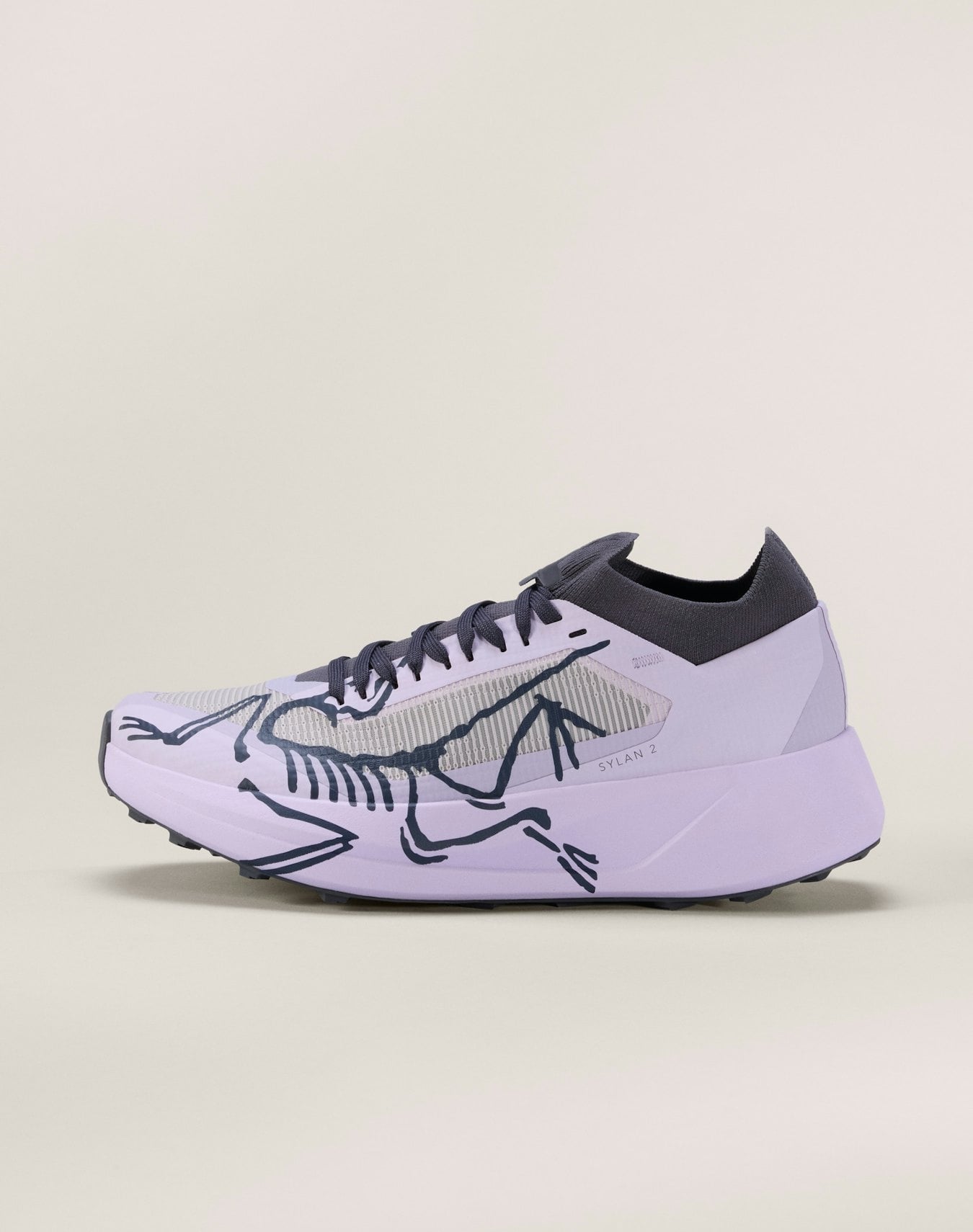 Arcteryx Women's Sylan 2