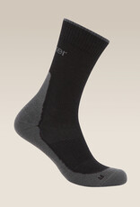 Icebreaker Men's Hike+ Light Crew 2-Pack