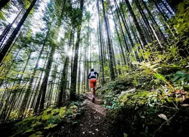 Trail Run