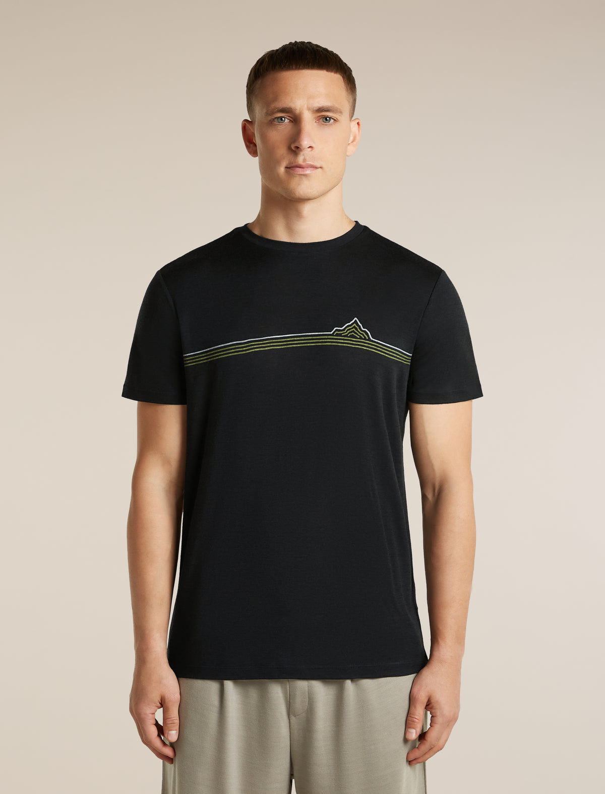 Icebreaker Men's 150 Tech Lite Short Sleeve Range Stripes