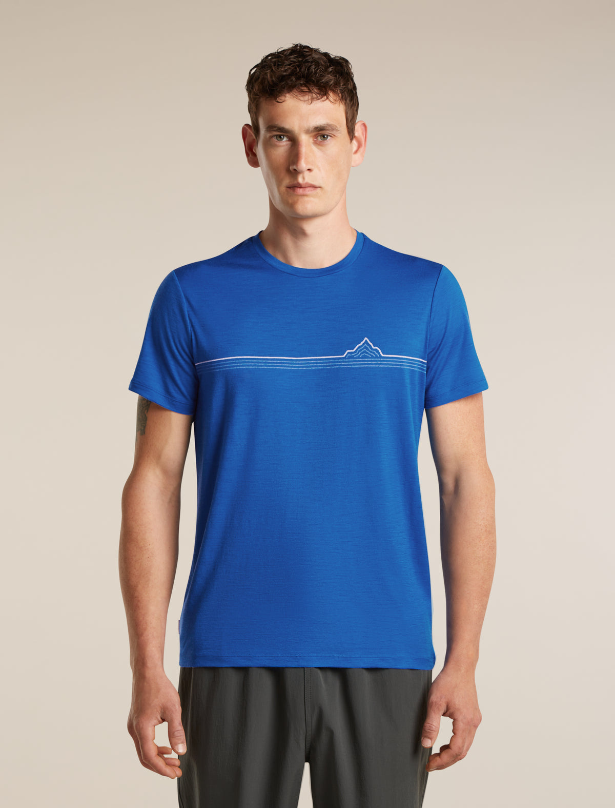 Icebreaker Men's 150 Tech Lite Short Sleeve Range Stripes