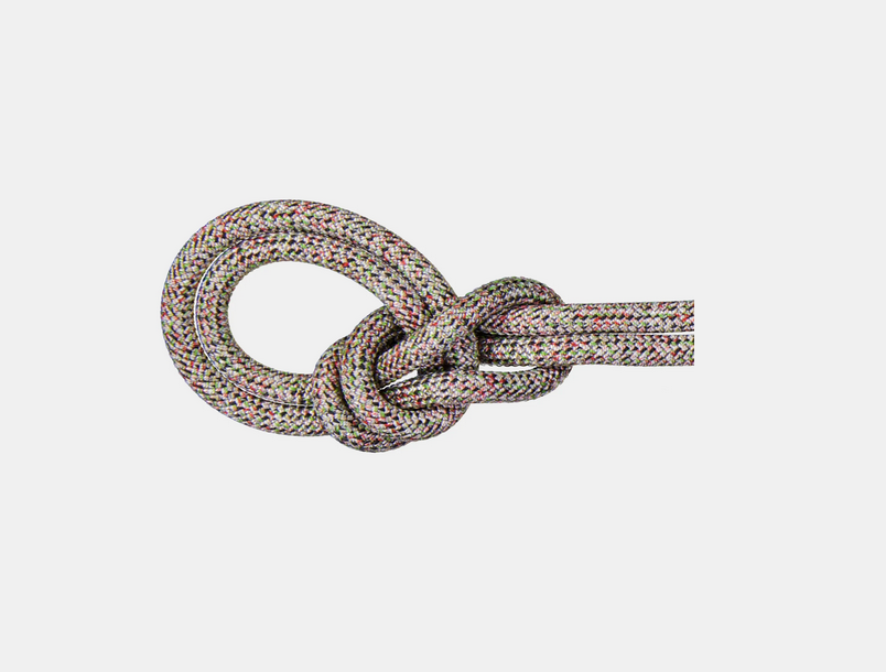 Mammut 9.5 Crag 70m We Care Rope