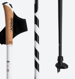 Swix Quantum Q2 Pole