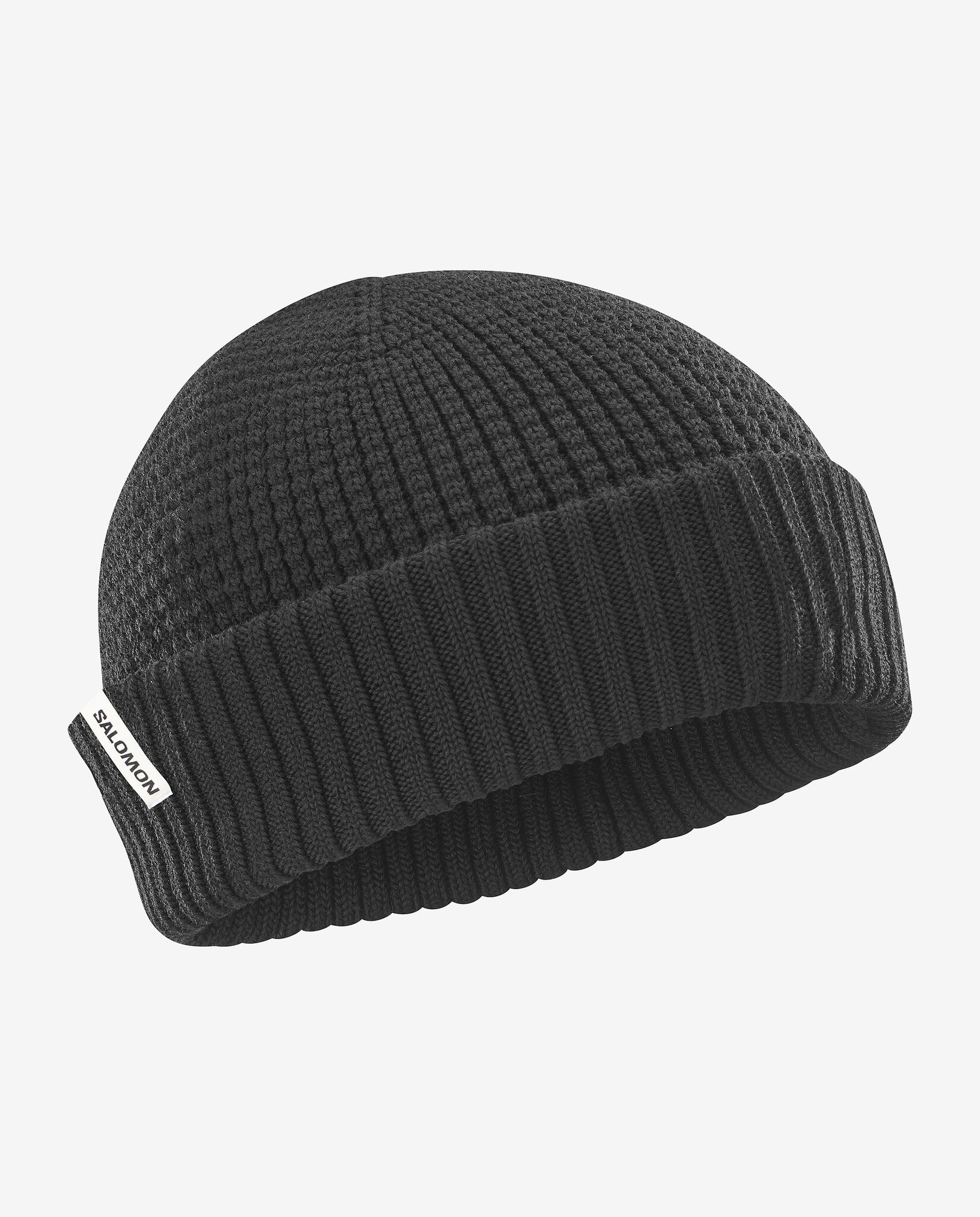 Salomon Docker Beanie