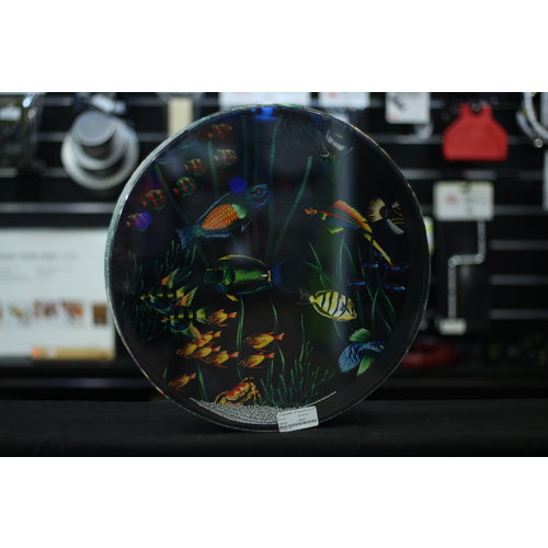 Remo Remo 16 in Ocean Drum 'Fish Graphic' 2 1/2 in Depth Remo Remo 16 in Ocean Drum 'Fish Graphic' 2 1/2 in Depth