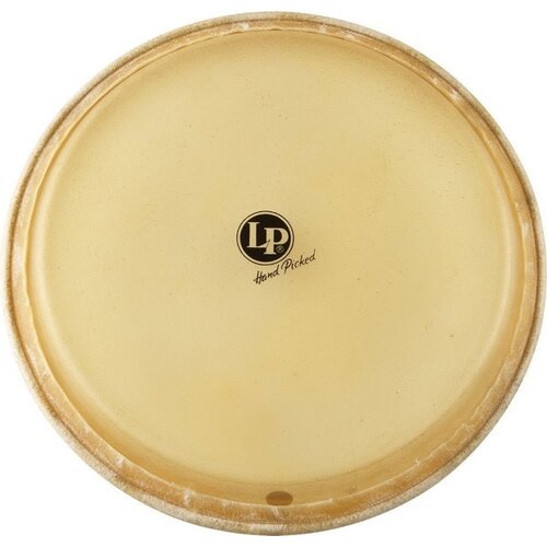 LP LP 12 1/2 MTD Tumbadora Head LP LP 12 1/2 MTD Tumbadora Head