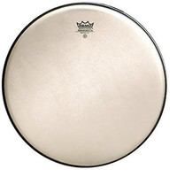 Remo Renaissance Ambassador Drumhead