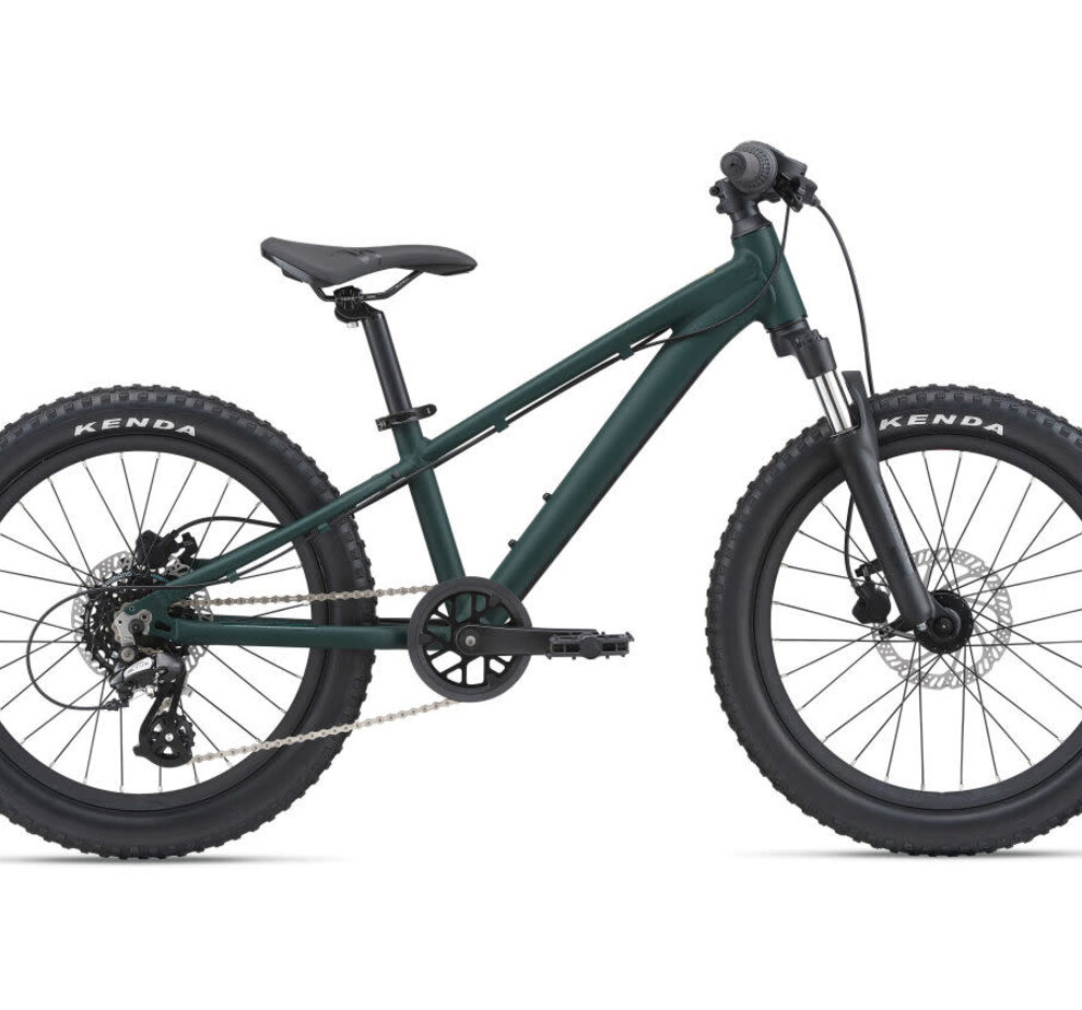 STP 20 FS Trekking Green