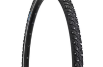 Schwalbe Marathon Winter PLus w Tire, 700 x 35c - Black