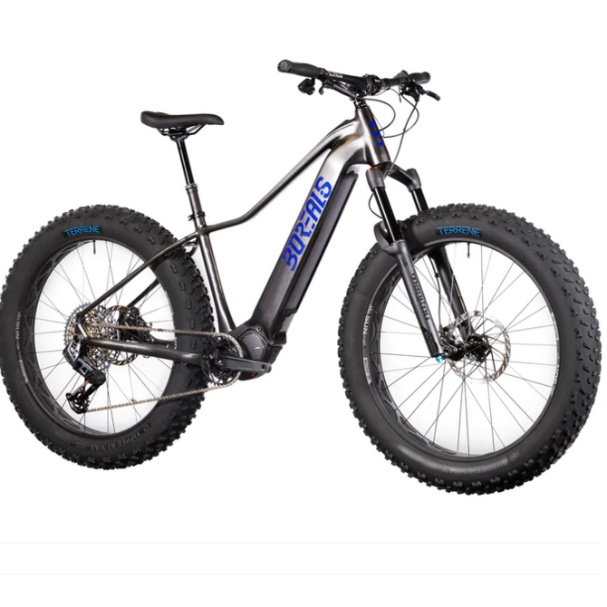 Alpine electric bikes discount