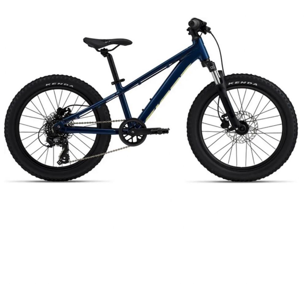 Giant STP 20 FS Blue Palace