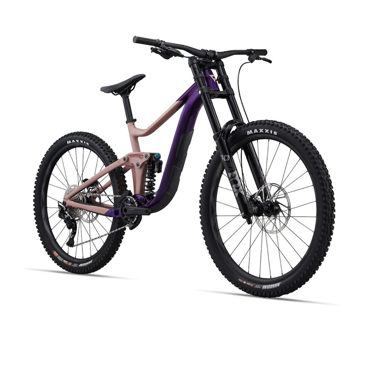 2023 Giant Reign SX Alpine Bike Works