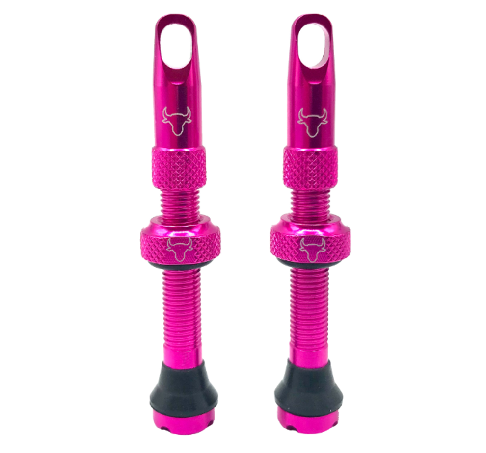 Hold Fast Cycling Hold Fast Tubeless Valve Stem, 42mm (Pair) - Pink