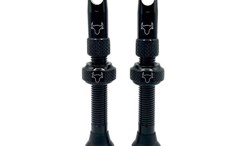 Hold Fast Cycling Hold Fast Tubeless Valve Stem, 42mm (Pair) - Black
