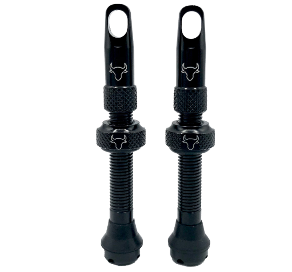 Hold Fast Cycling Hold Fast Tubeless Valve Stem, 42mm (Pair) - Black