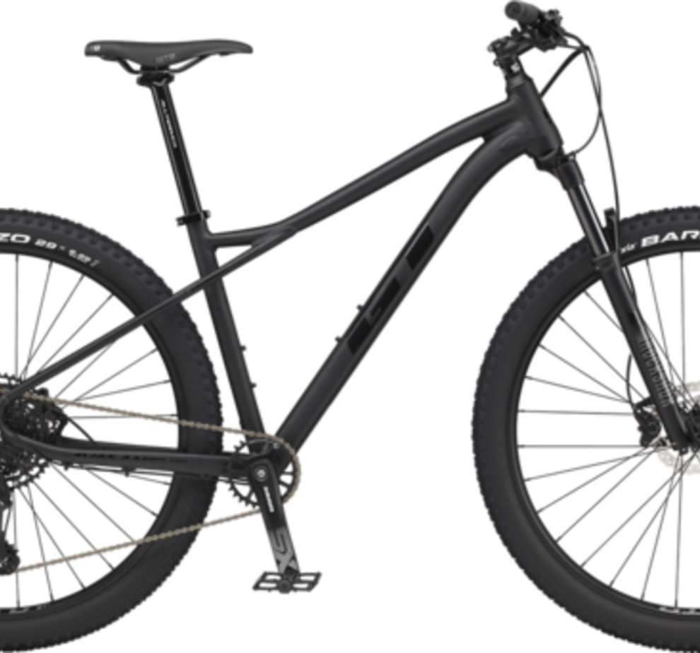 29 M Avalanche Expert BBQ SM Alpine Bike Works