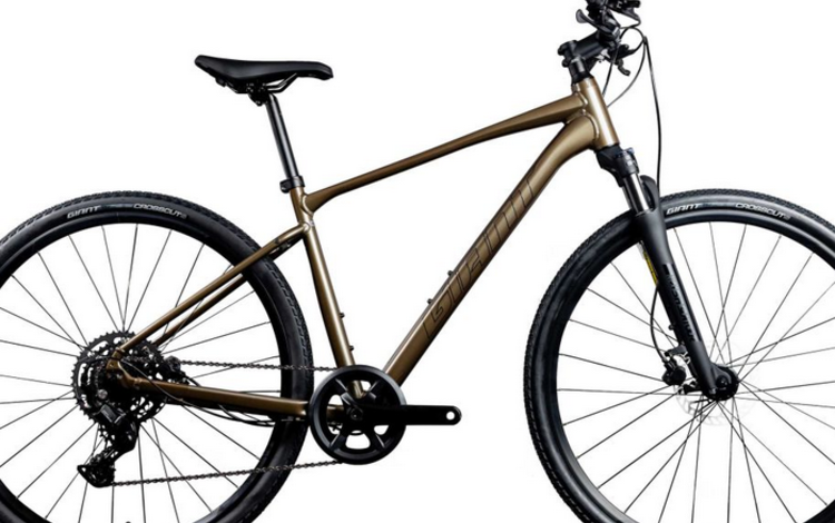 Giant Roam 2 Disc-Pyrite Brown MD