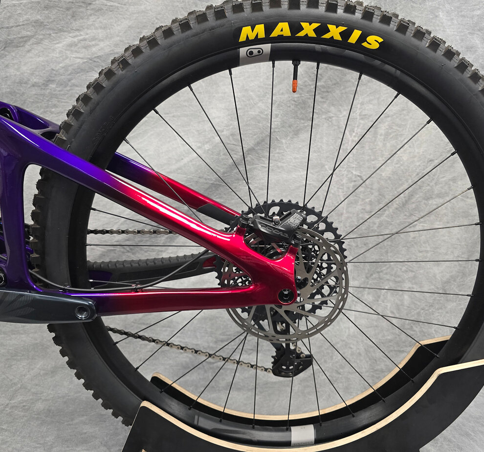 Giant Reign Advanced Pro Rainbow XL - CUSTOM