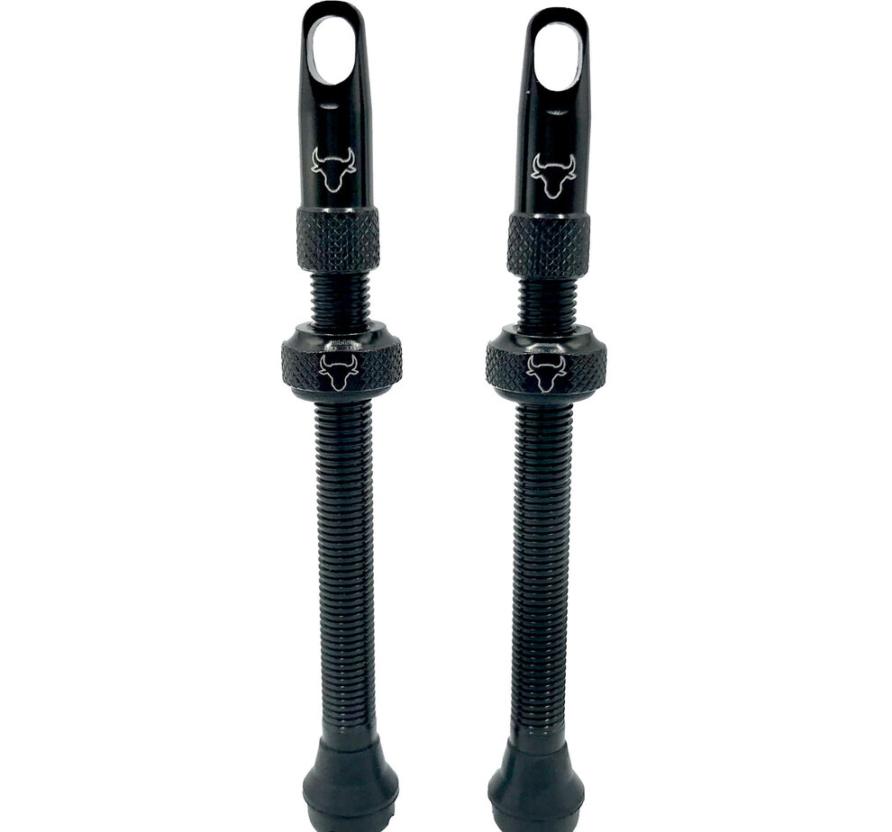 Hold Fast Cycling Hold Fast Tubeless Presta Valve Stem, 80mm (Pair) - Black