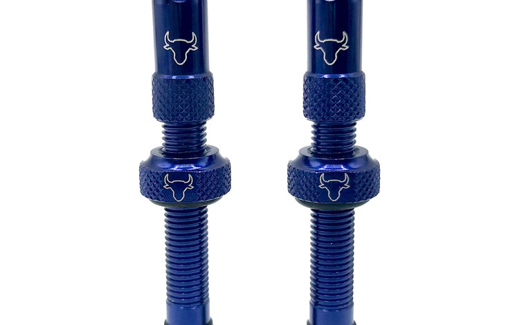 Hold Fast Cycling Hold Fast Tubeless Valve Stem, 42mm (Pair) - Blue