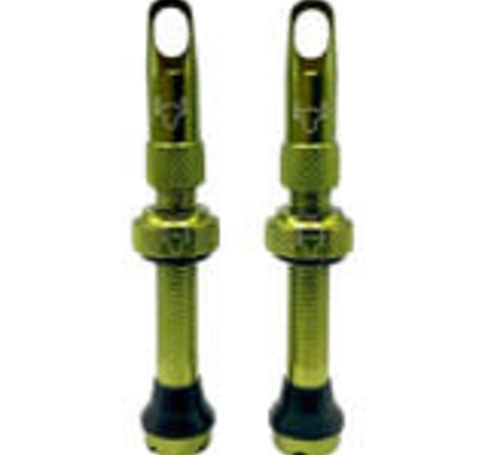 Hold Fast Cycling Hold Fast Tubeless Valve Stem, 42mm (Pair) - Green