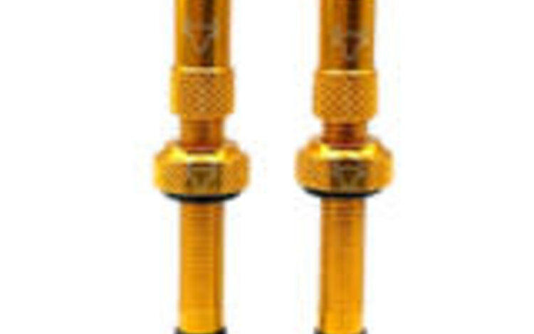 Hold Fast Cycling Hold Fast Tubeless Valve Stem, 42mm (Pair) - Gold