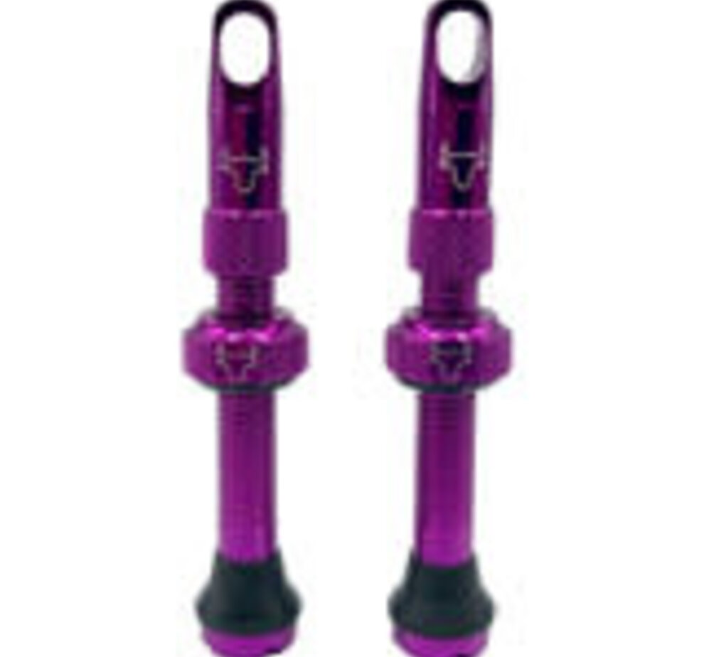 Hold Fast Cycling Hold Fast Tubeless Valve Stem, 42mm (Pair) - Purple