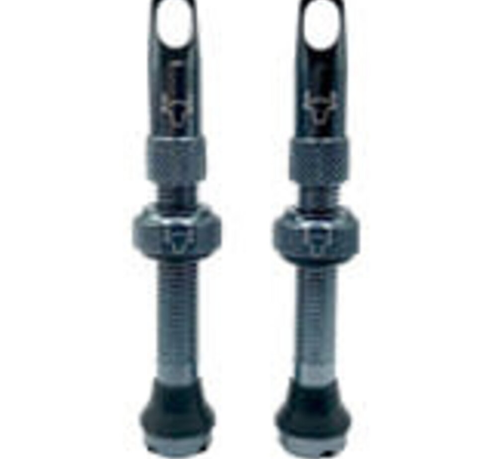 Hold Fast Cycling Hold Fast Tubeless Valve Stem, 42mm (Pair) - Pewter