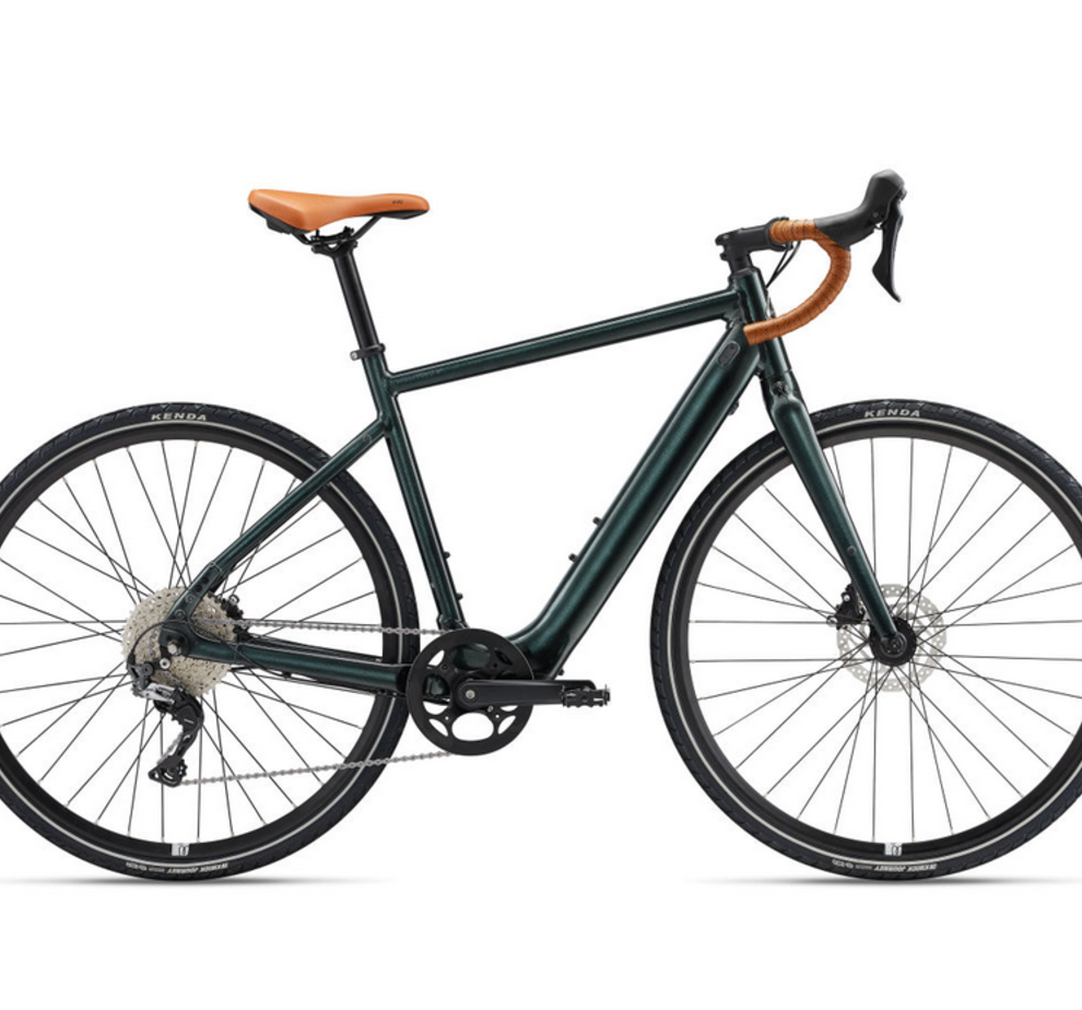Momentum Voya E+1 20MPH Asphalt Green- Medium