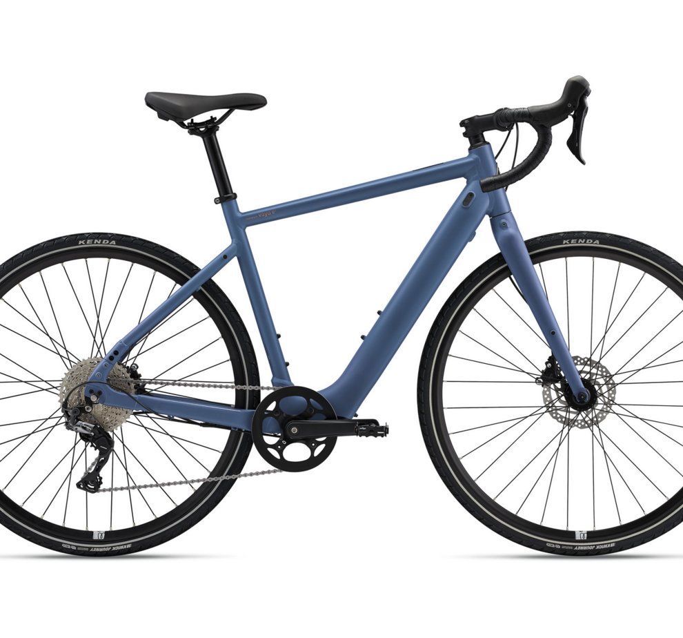 Momentum Voya E+1 20MPH Indigo- Small