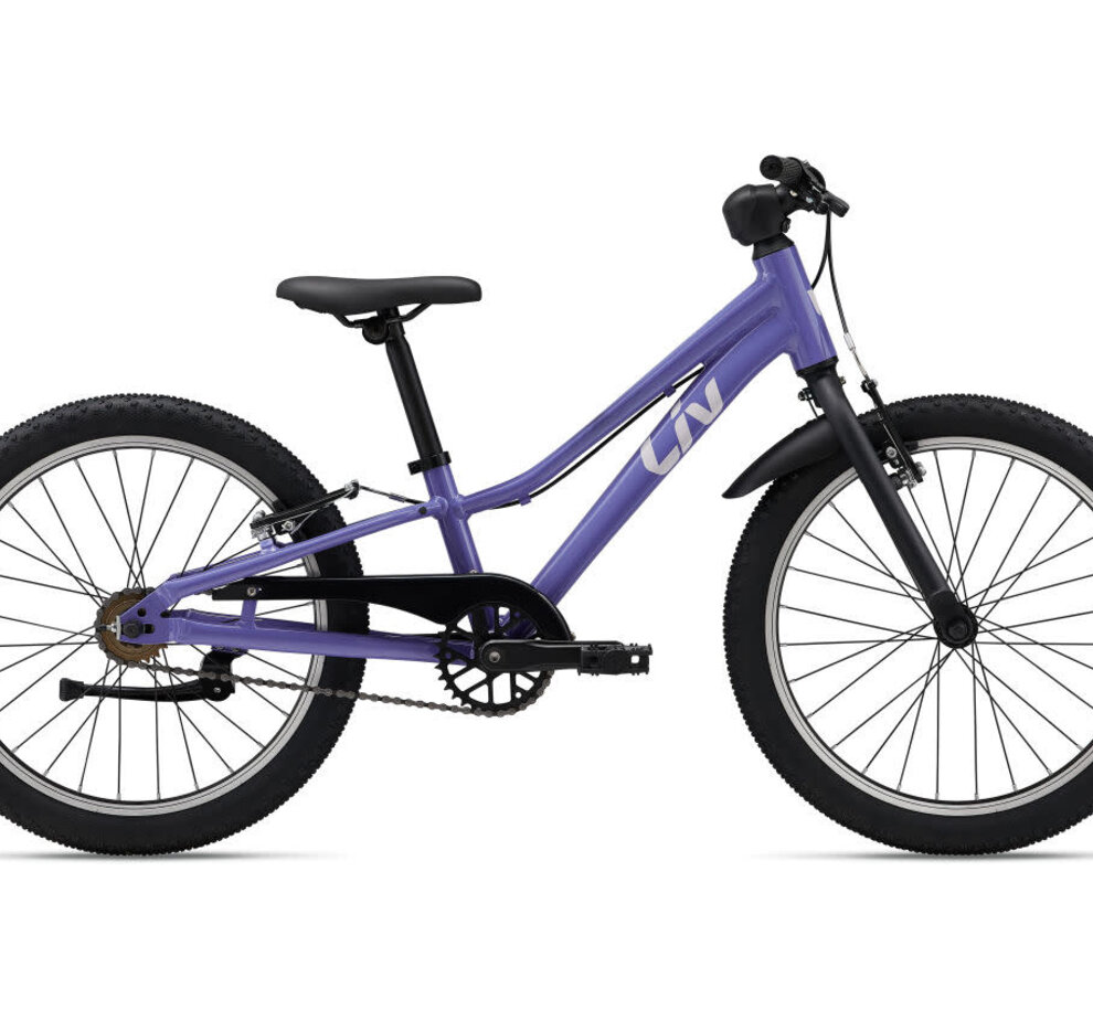 Liv Tempt 20 Single Speed Dusted Periwinkle