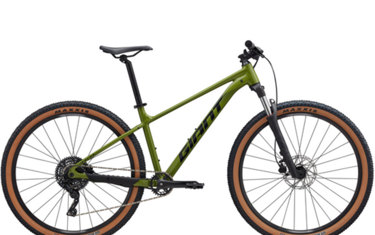 Giant Talon 29 2 Dried Matcha MD