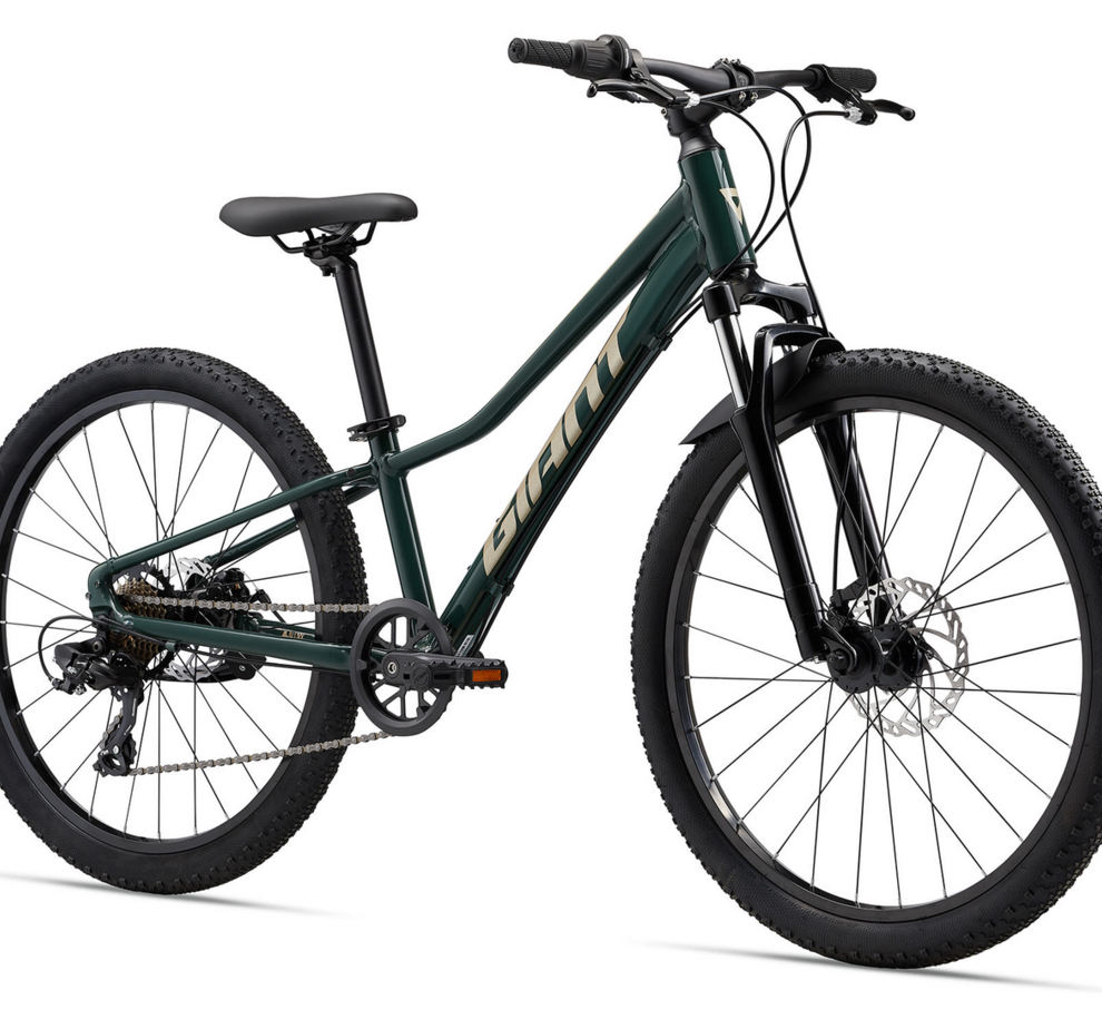 Giant Talon 24 Disc Trekking Green