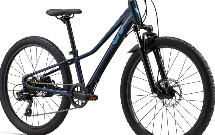 Liv Tempt 24 Disc Starry Night