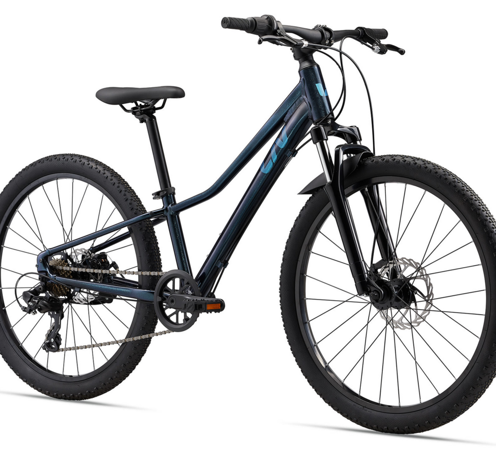 Liv Tempt 24 Disc  Starry Night